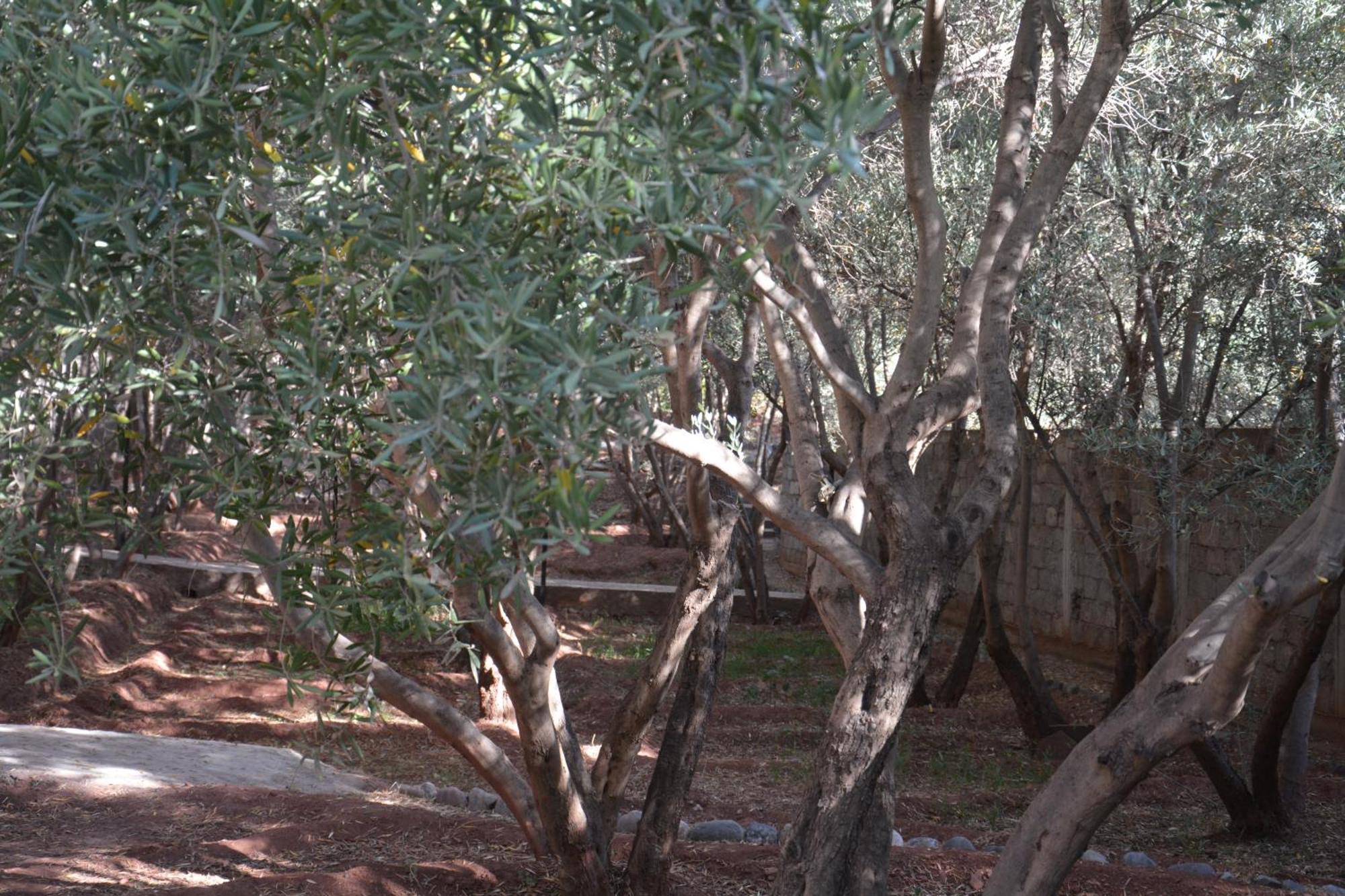Dar Arraha Ouirgane Hotel Buitenkant foto